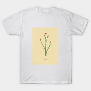 Botanical watercolor painting T-Shirt